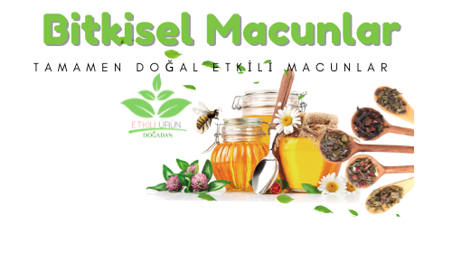Bitkisel Macunlar